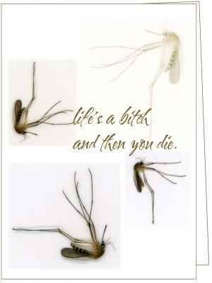 print-mosquito-card