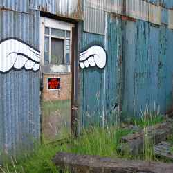 winged-door