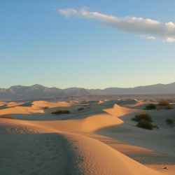 mesquite-sand-dunes