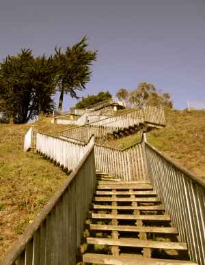 21-up-turtle-hill-steps