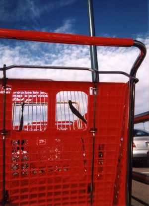 red-shopping-cart