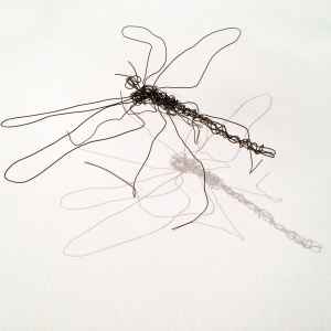 wire-mosquito