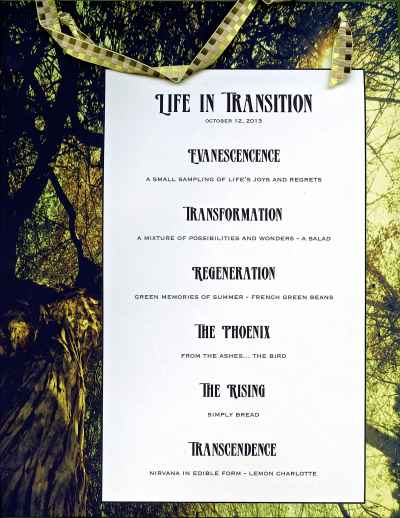 life-in-transition-menu