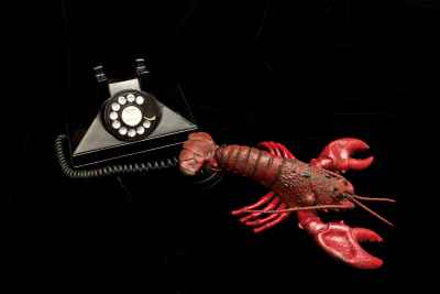 lobster-phone